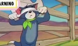 火影汤姆爆料视频大全下载,独家揭秘忍者世界幕后真相