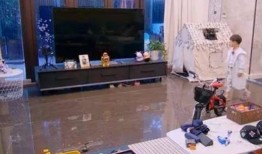 爆料家里种烟草的视频,家庭烟草种植背后的真相